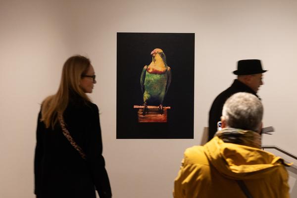 True Colors. Farbe in der Fotografie von 1849 bis 1955 (Albertina Modern, 24.1. - 21.4.2025) Foto: eSeL.at - Lorenz Seidler
