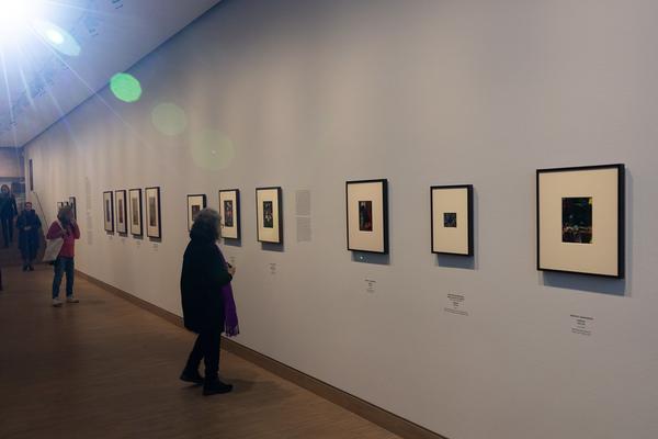 True Colors. Farbe in der Fotografie von 1849 bis 1955 (Albertina Modern, 24.1. - 21.4.2025) Foto: eSeL.at - Lorenz Seidler