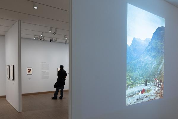 True Colors. Farbe in der Fotografie von 1849 bis 1955 (Albertina Modern, 24.1. - 21.4.2025) Foto: eSeL.at - Lorenz Seidler