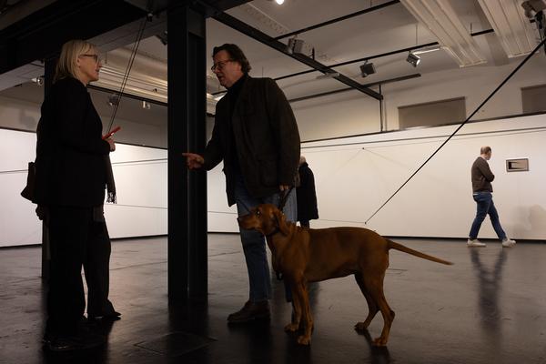 Anna-Maria Bogner "Unmittelbar" (Stadtgalerie Raumimpuls Waidhofen / Ybbs, 21.2. - 23.3.2025) Foto: eSeL.at - Lorenz Seidler
