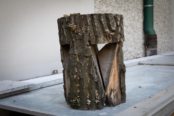 Akademie der Bildenden Künste Wien: Abschlussarbeiten 18/19 (Bildhauerateliers Kurzbauergasse) https://www.akbild.ac.at/Portal/organisation/aktuelles/ausstellungen-vermittlung/abschlussarbeiten-18-19 | Foto: eSeL Foto: eSeL.at - Lorenz Seidler