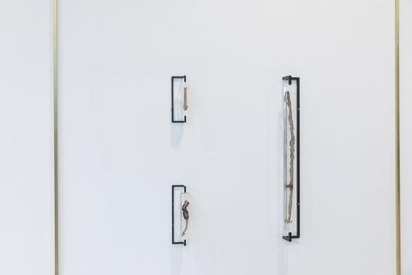 ARTTEC @ AIT: Judith Fegerl - Capture (Artist in Residence 2019-21) http://www.ait.ac.at/arttec | Foto: eSeL.at - Lorenz Seidler Foto: eSeL.at - Lorenz Seidler