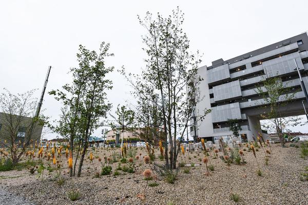 Az W Exkursion /  Architekturzentrum Wien: Besondere Raumangebote
Atelierhaus C21, Gleis 21 und Grätzelmixer