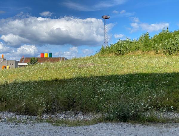 Copenhagen Contemporary: In Focus - Statements (25.6. - 30.12.2020) https://copenhagencontemporary.org/in-focus | Foto: eSeL