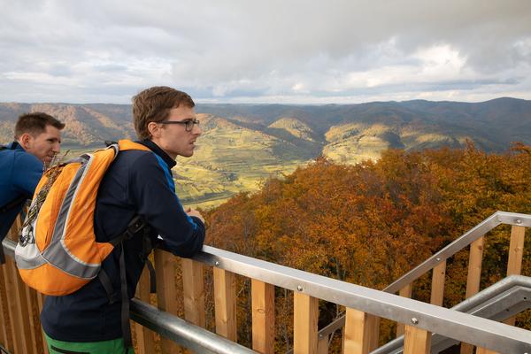 Kunst im öffentlichen Raum Niederösterreich: Aussichtsturm "Die Vierte Wand" von Eldine Heep und Klemens Schillinger am Seekopf / Rossatz (25.10.2020) https://publicart.at/de/kalender/?pid=1022 | Foto: eSeL Foto: eSeL.at - Lorenz Seidler