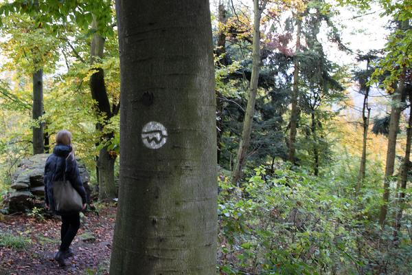 Kunst im öffentlichen Raum Niederösterreich: Aussichtsturm "Die Vierte Wand" von Eldine Heep und Klemens Schillinger am Seekopf / Rossatz (25.10.2020) https://publicart.at/de/kalender/?pid=1022 | Foto: eSeL Foto: eSeL.at - Lorenz Seidler