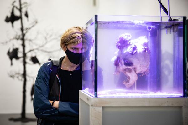 Dom Museum Wien: Fragile Schöpfung (1.10.2020 - 28.8.2021, Presseführung) https://dommuseum.at/fragileschoepfung_information | Foto: eSeL Foto: eSeL.at - Lorenz Seidler
