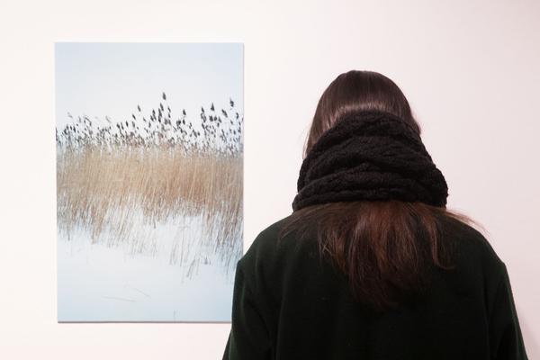 Kunst Haus Wien / Galerie: I Dreamed We Were Alive (3.3. - 18.6.2017, Eröffnung) http://esel.cc/Dreamed-we-alive | Foto: http://eSeL.at Foto: eSeL.at - Lorenz Seidler