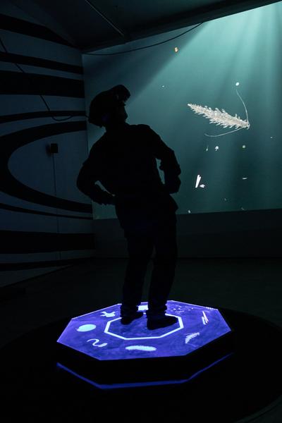 VIENNA BIENNALE 2019: Noise Aquarium (29.5. - 27.09..2019, Pressekonferenz) http://www.viennabiennale.org | http://www.ailab.at/upcoming/change-was-our-only-chance | Foto: eSeL Foto: eSeL.at - Lorenz Seidler