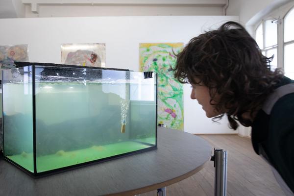 Kunsthalle Exnergasse / WUK: Klärschlamm (22.1. - 29.2.2020) https://esel.at/termin/104500 | Foto: eSeL Foto: eSeL.at - Lorenz Seidler