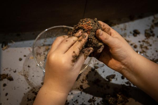 ZOOM Kindermuseum: Erde Erde (26.9.2018 - 24.2.2019, Eröffnung) https://esel.me/termin/98293 | Foto: eSeL Foto: eSeL.at - Lorenz Seidler