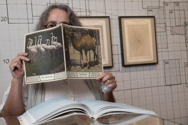 Albertina: Foto Buch Kunst (28. Juni - 22. September 2019) https://www.albertina.at/ausstellungen/foto.buch.kunst | Foto. eseL Foto: eSeL.at - Lorenz Seidler