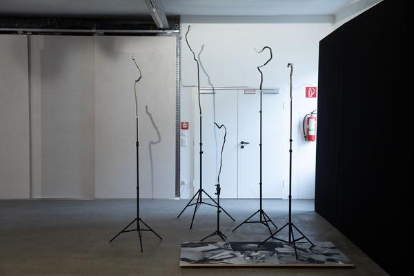 Galerie 5020: Franz Bergmüller -
ANTIKÖRPER (Salzburg, 11.09. - 23.10.2020) https://5020.info/programm/franz-bergmuller-antikorper | Foto: eSeL Foto: eSeL.at - Lorenz Seidler