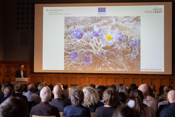  Foto: eSeL Lorenz Seidler
