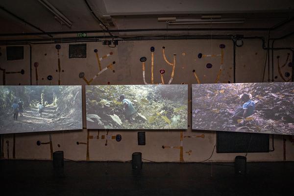 Kunst Haus Wien / Garage: Future Scenarios - Lena Dobrowolska & Teo Ormond-Skeaping (23.03.-10.06.19) https://esel.at/termin/99875 | Foto: eSeL Foto: eSeL.at - Lorenz Seidler