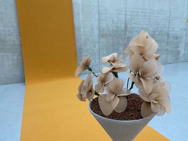 Kunsthaus Bregenz: Jakob Lena Knebl & Ashley Hans Scheirl - Seasonal Greetings (12.12.20 - 14.3.21 - currently closed due to Lockdown) https://www.kunsthaus-bregenz.at/ausstellungen/aktuelle-ausstellung/knebl-scheirl | Foto: eSeL