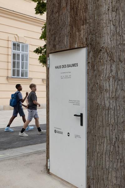 MuseumsQuartier Wien: Haus des Baumes (MQ Vorplatz / Mariahilfer Straße, seit 6.6.2023) Foto: eSeL.at - Lorenz Seidler Foto: eSeL Lorenz Seidler