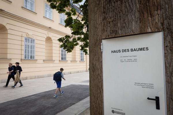 MuseumsQuartier Wien: Haus des Baumes (MQ Vorplatz / Mariahilfer Straße, seit 6.6.2023) Foto: eSeL.at - Lorenz Seidler Foto: eSeL Lorenz Seidler