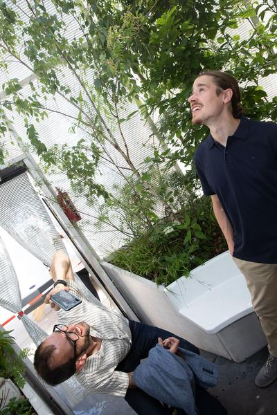 MuseumsQuartier Wien: Airship.01 (Eröffnung, 11.6.2019) http://mqw.at | Foto: eSeL Foto: eSeL.at - Lorenz Seidler