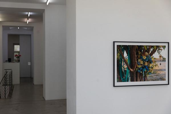 Galerie Gabriele Senn: Elfie Semotan (5.5. - 30.5.2020) https://esel.at/termin/105620 | Foto: eSeL.at Foto: eSeL.at - Lorenz Seidler
