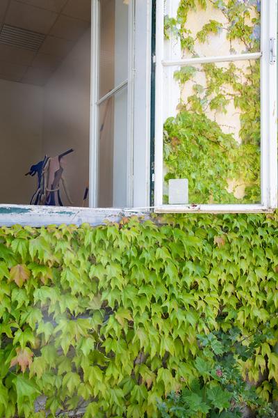 Schloss 25: Preview Ateliergebäude (1130, Jagdschloßgasse 25) Foto: eSeL.at - Lorenz Seidler