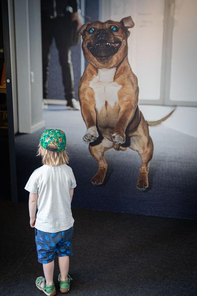 OÖ Kulturquartier Linz: Sinnesrausch 2019. Kunst und Bewegung (24. 5. – 13.10.2019) http://www.sinnesrausch.at | Foto: eSeL Foto: eSeL.at - Lorenz Seidler