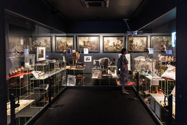 OÖ Kulturquartier Linz: Sinnesrausch 2019. Kunst und Bewegung (24. 5. – 13.10.2019) http://www.sinnesrausch.at | Foto: eSeL Foto: eSeL.at - Lorenz Seidler