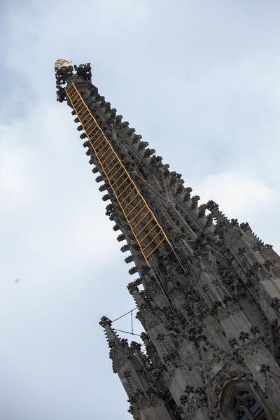Stephansdom: Billi Thanner - Himmelsleiter  (4.4. - 31.5.2021) https://www.dompfarre.info/Pfarrgruppen/Kulturelle_Gruppen/Kunst_im_Dom/Himmelsleiter.html | Foto: eSeL Foto: eSeL.at - Lorenz Seidler