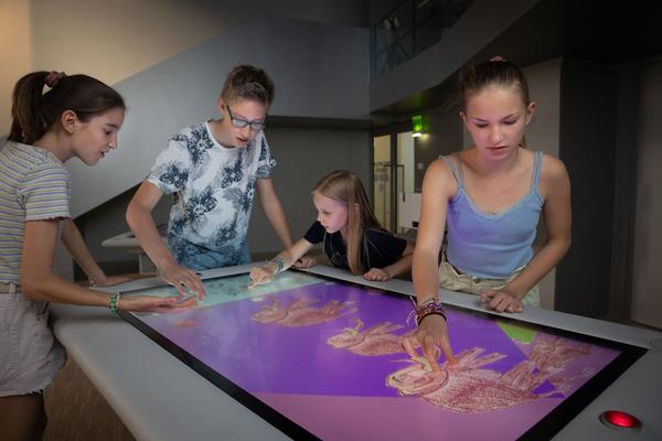 ZOOM Kindermuseum: ZOOM Trickfilmstudio (2021) https://www.kindermuseum.at/zoom_programmangebot/zoom_trickfilmstudio | Foto: eSeL Foto: eSeL.at - Lorenz Seidler