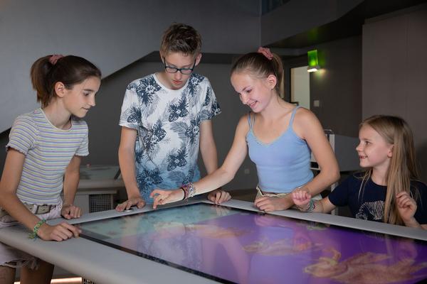 ZOOM Kindermuseum: ZOOM Trickfilmstudio (2021) https://www.kindermuseum.at/zoom_programmangebot/zoom_trickfilmstudio | Foto: eSeL Foto: eSeL.at - Lorenz Seidler