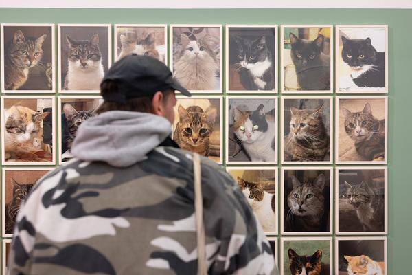 Animalia. Von Tieren und Menschen (Heidi Horten Collection, 27.3. - 30.8.2026) Foto: eSeL.at - Lorenz Seidler