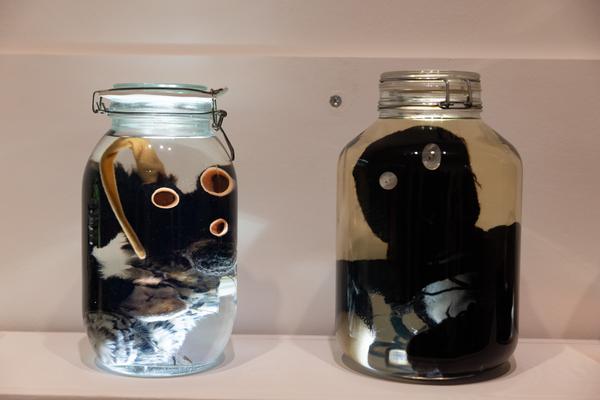 Animalia. Von Tieren und Menschen (Heidi Horten Collection, 27.3. - 30.8.2026) Foto: eSeL.at - Lorenz Seidler