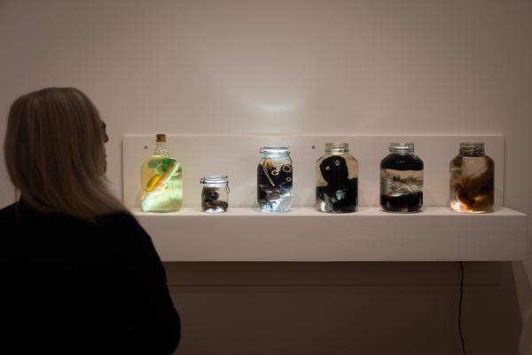 Animalia. Von Tieren und Menschen (Heidi Horten Collection, 27.3. - 30.8.2026) Foto: eSeL.at - Lorenz Seidler