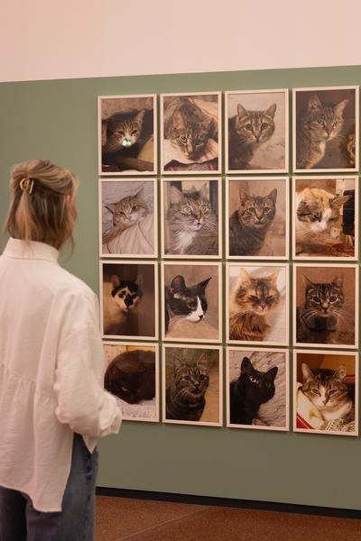 Animalia. Von Tieren und Menschen (Heidi Horten Collection, 27.3. - 30.8.2026) Foto: eSeL.at - Lorenz Seidler