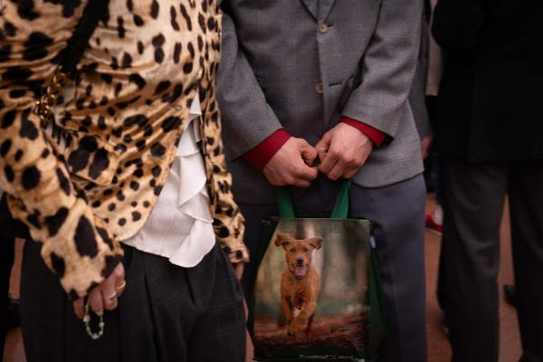 Animalia. Von Tieren und Menschen (Heidi Horten Collection, 27.3. - 30.8.2026) Foto: eSeL.at - Lorenz Seidler