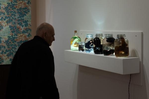 Animalia. Von Tieren und Menschen (Heidi Horten Collection, 27.3. - 30.8.2026) Foto: eSeL.at - Lorenz Seidler