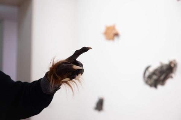 Animalia. Von Tieren und Menschen (Heidi Horten Collection, 27.3. - 30.8.2026) Foto: eSeL.at - Lorenz Seidler