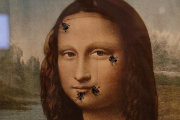 Animalia. Von Tieren und Menschen (Heidi Horten Collection, 27.3. - 30.8.2026) Foto: eSeL.at - Lorenz Seidler