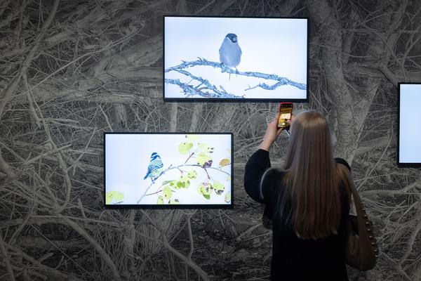 Animalia. Von Tieren und Menschen (Heidi Horten Collection, 27.3. - 30.8.2026) Foto: eSeL.at - Lorenz Seidler