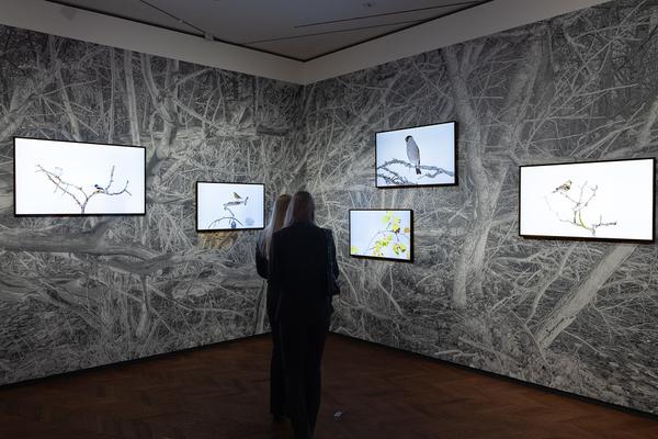 Animalia. Von Tieren und Menschen (Heidi Horten Collection, 27.3. - 30.8.2026) Foto: eSeL.at - Lorenz Seidler