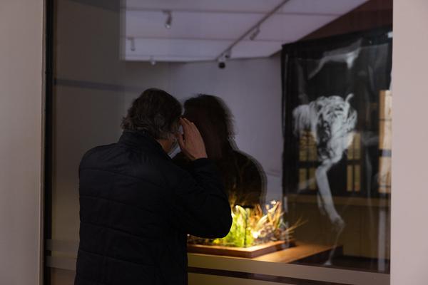 Animalia. Von Tieren und Menschen (Heidi Horten Collection, 27.3. - 30.8.2026) Foto: eSeL.at - Lorenz Seidler