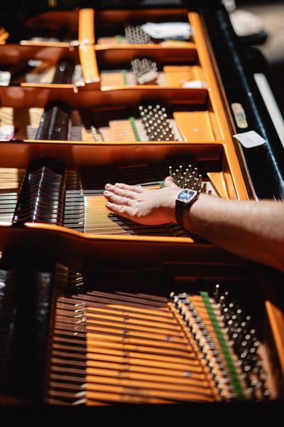 Posthuman Social Club vol. 6 – Artʹs Birthday of the Eternal Network (Radiokulturhaus, 17.01.2026) Foto: eSeL.at - Robert Puteanu