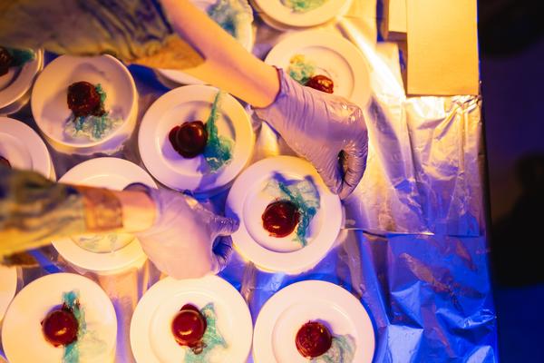 Posthuman Social Club vol. 6 – Artʹs Birthday of the Eternal Network (Radiokulturhaus, 17.01.2026) Foto: eSeL.at - Robert Puteanu