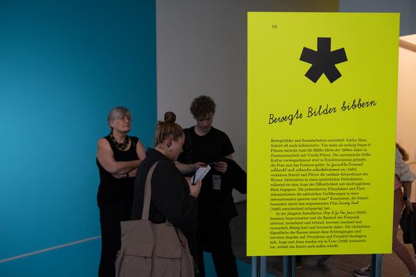 Ashley Hans Scheirl &quot;In &amp; Out of Painting*&quot; (Belvedere 21, 19.9.2025 - 18.6.2026) Foto: eSeL.at - Lorenz Seidler