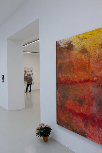 Hermann Nitsch "Bayreuth Walküre" (Galerie Kandlhofer, 26.6. - 26.7.2025) Foto: eSeL.at - Lorenz Seidler