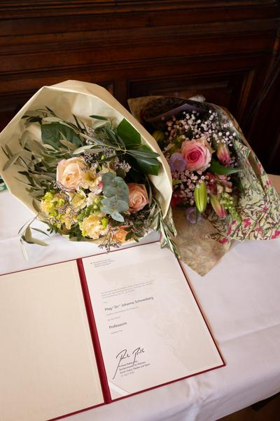 Festakt: Berufstitel "Professorin" an Frau Dr.in Johanna Schwanberg (Künstlerhaus Ranftlzimmer, 21.4.2026) Foto: eSeL.at - Lorenz Seidler