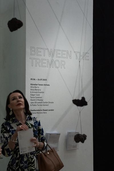 Eroeffnung &quot;Between the Tremor and a Murmur lies a Sunset&quot; (Kunstraum Niederoesterreich, 05.06.2025) Foto: eSeL.at - Sarah Tasha