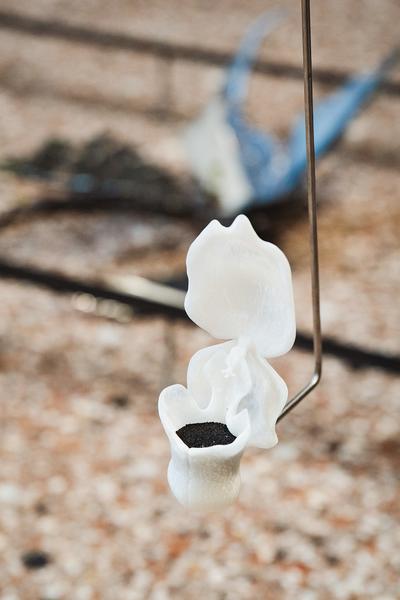 Birgit-Jürgenssen-Preisträgerin 2026: So Young Park (Akademie der bildenden Künste Wien, 21.04.2026) Foto: eSeL.at - Robert Puteanu