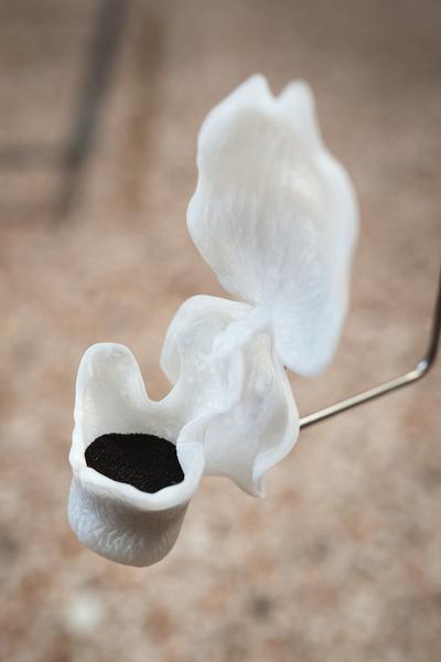 Birgit-Jürgenssen-Preisträgerin 2026: So Young Park (Akademie der bildenden Künste Wien, 21.04.2026) Foto: eSeL.at - Robert Puteanu