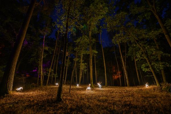 Blockheide Leuchtet 2026 (Naturpark Blockheide - Gmünd/Waldviertel, 27.8. - 30.8.2026) Foto: Joanna Pianka